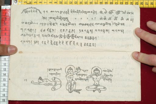 canvas: 1554d_LTWA_796