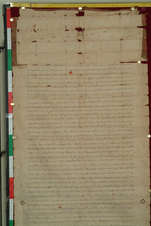 canvas: 0813b_LTWA_5