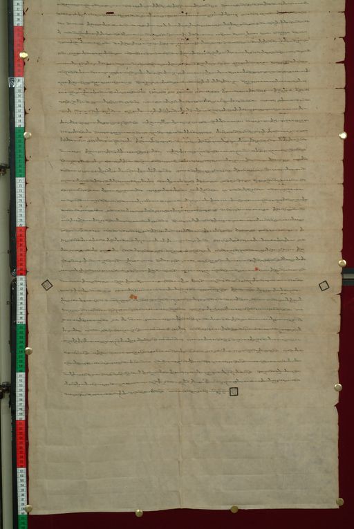 canvas: 0813c_LTWA_5