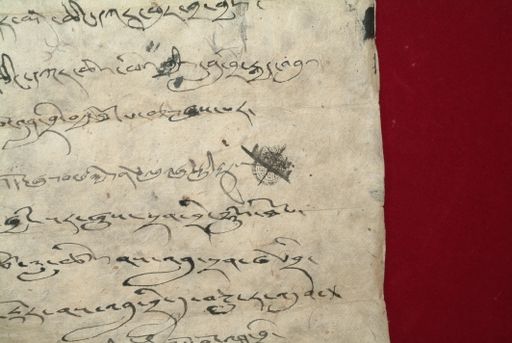 canvas: 1343v_LTWA_585