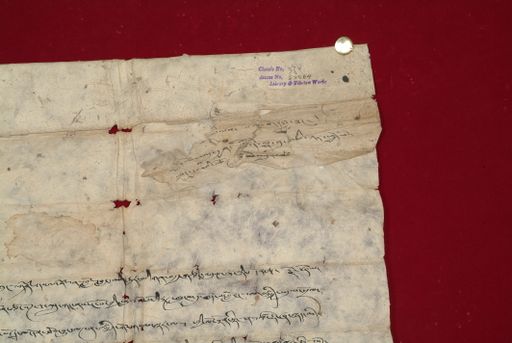 canvas: 1343b_LTWA_585