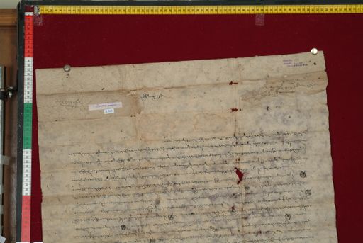 Library of Tibetan Works and Archives (LTWA) ID 3755 (1343_LTWA_585)