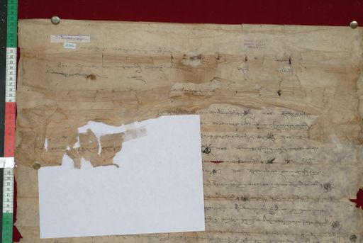 canvas: 1347a_LTWA_589