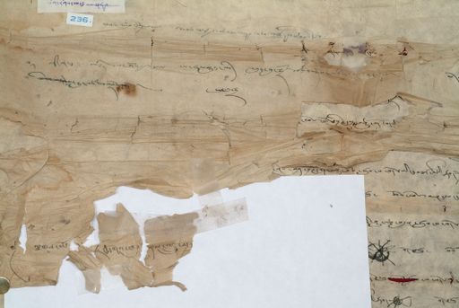 canvas: 1347b_LTWA_589