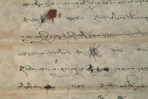 Library of Tibetan Works and Archives (LTWA) ID 3757 (1347_LTWA_589)