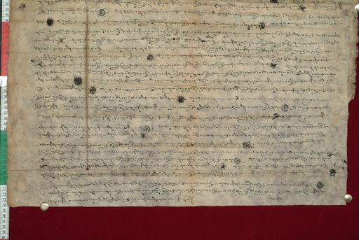 canvas: 1347i_LTWA_589