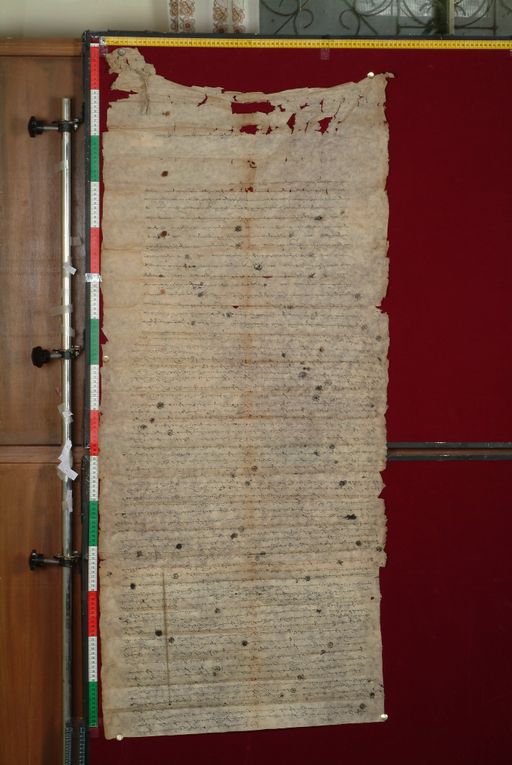 canvas: 1347c_LTWA_589