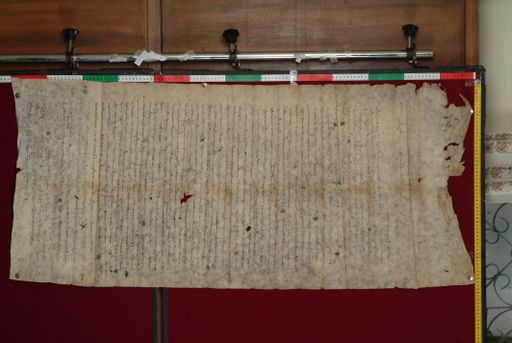 canvas: 1350c_LTWA_592