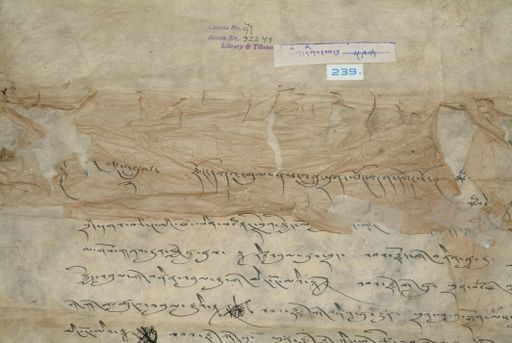 canvas: 1350b_LTWA_592