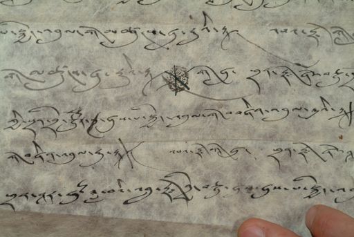 canvas: 1350o_LTWA_592