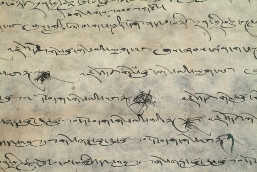 canvas: 1350j_LTWA_592