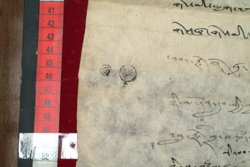 canvas: 1350n_LTWA_592