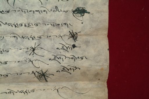 canvas: 1350k_LTWA_592