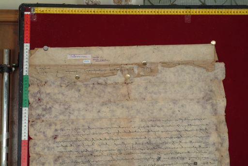 canvas: 1342b_LTWA_584