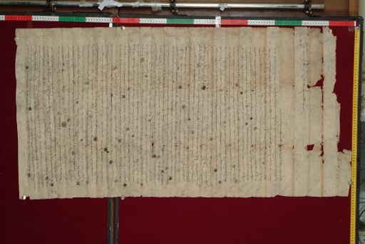 canvas: 1348c_LTWA_590