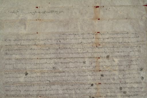 canvas: 1344e_LTWA_586x