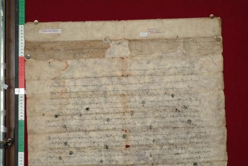 canvas: 1345b_LTWA_587