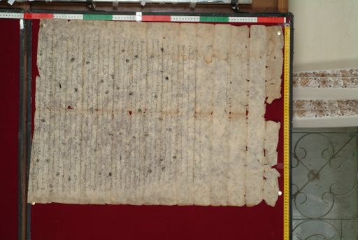 canvas: 1345c_LTWA_587