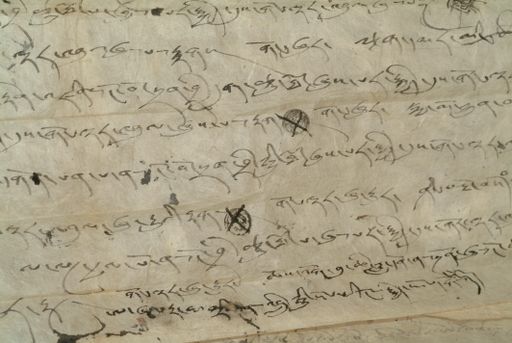 canvas: 1344o_LTWA_586