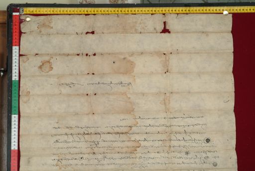 canvas: 1346c_LTWA_588