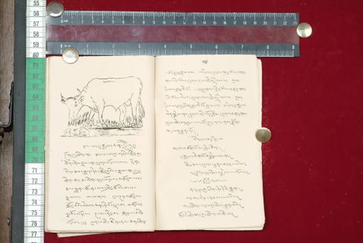 canvas: 1514ae_LTWA_756