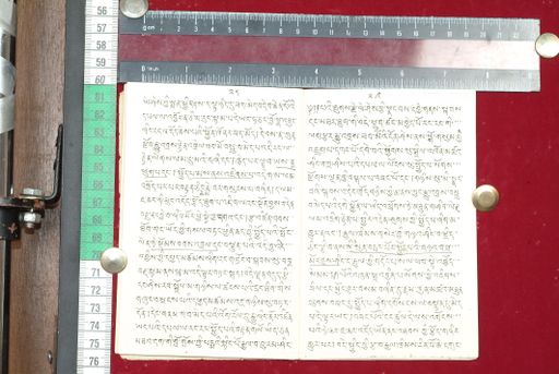 canvas: 1513p_LTWA_755