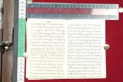 canvas: 1513y_LTWA_755