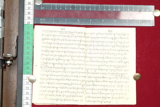 canvas: 1513t_LTWA_755