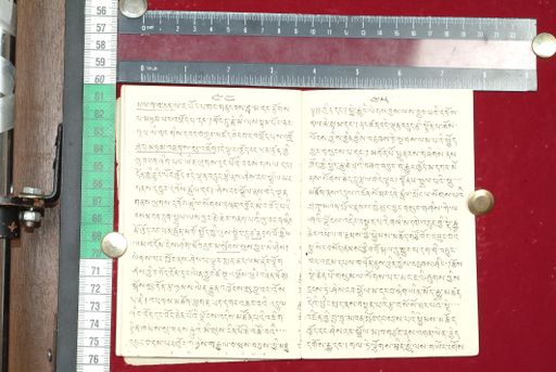 canvas: 1513x_LTWA_755