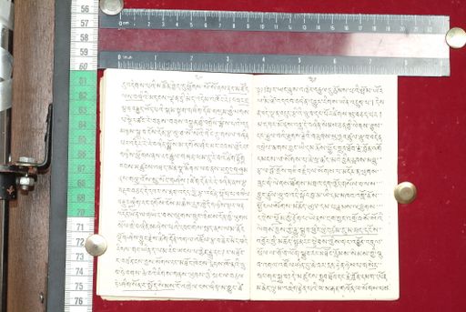 canvas: 1513q_LTWA_755