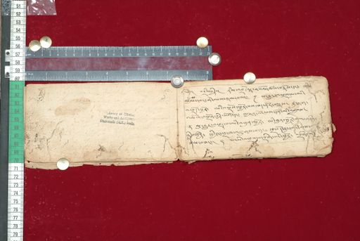 canvas: 1519f_LTWA_761