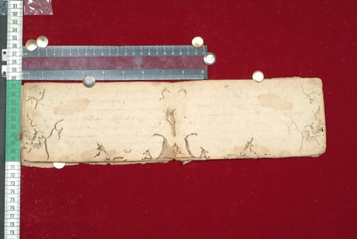 canvas: 1519g_LTWA_761