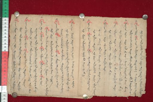 canvas: 1511c_LTWA_753