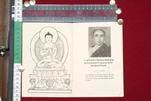 canvas: 1516c_LTWA_758