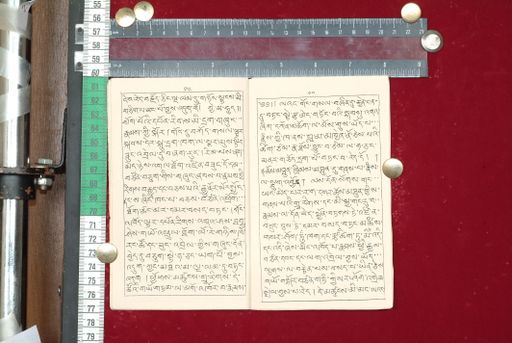 canvas: 1517i_LTWA_759