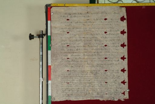 canvas: 1014c_LTWA_225