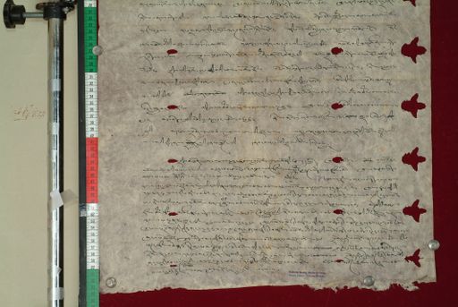 canvas: 1014e_LTWA_225