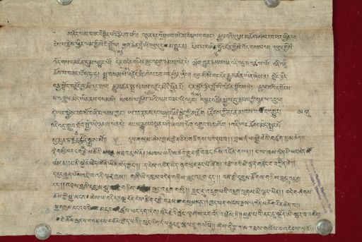 canvas: 1020c_LTWA_231