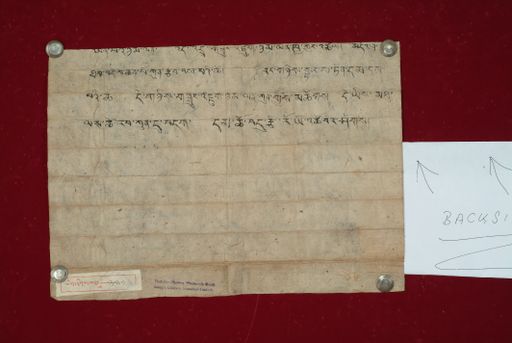 Library of Tibetan Works and Archives (LTWA) ID 3781 (1020_LTWA_231)