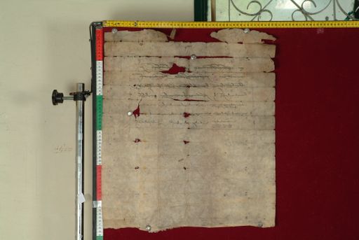 canvas: 1019b_LTWA_230