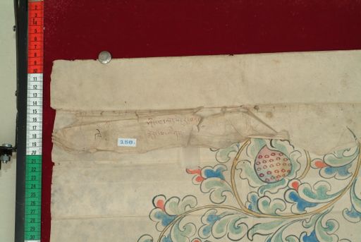 canvas: 0946b_LTWA_158