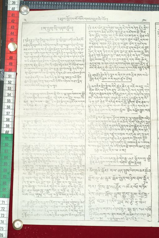 canvas: 1605f_LTWA_846