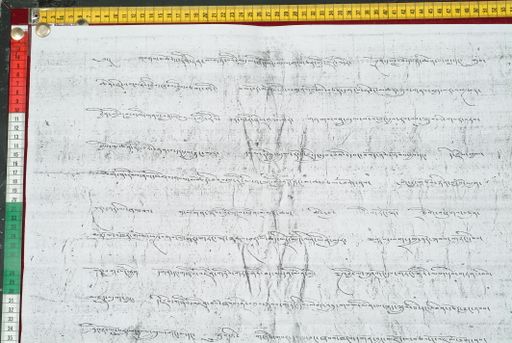 canvas: 1603c_LTWA_844