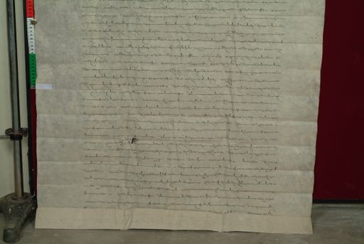 canvas: 0833e_LTWA_25