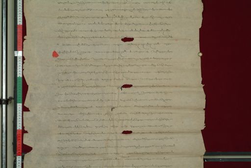 canvas: 0832c_LTWA_24