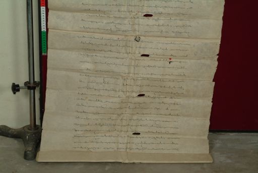 canvas: 0832d_LTWA_24