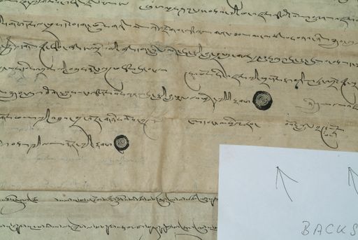 canvas: 0832y_LTWA_24