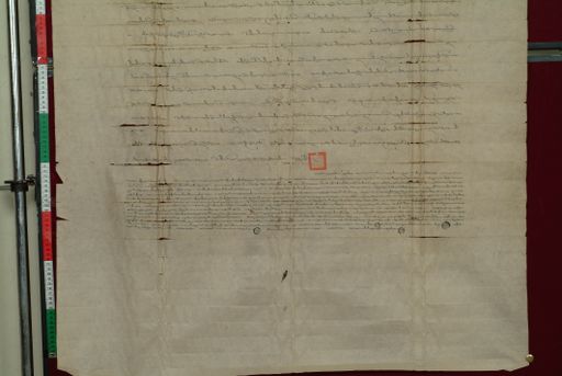 canvas: 0831o_LTWA_23