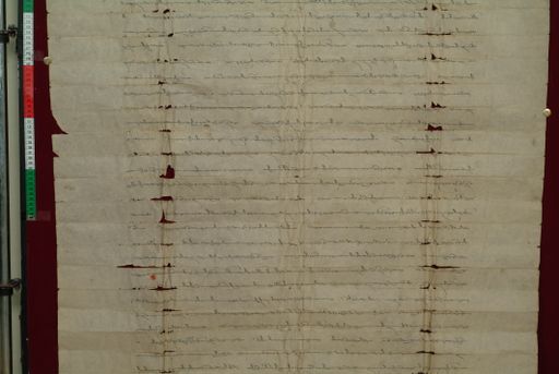 canvas: 0831g_LTWA_23