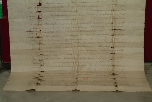 canvas: 0831h_LTWA_23